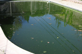 Gilry Pool Fill In and Pool Removal